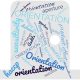 Orientation and Metal Detection